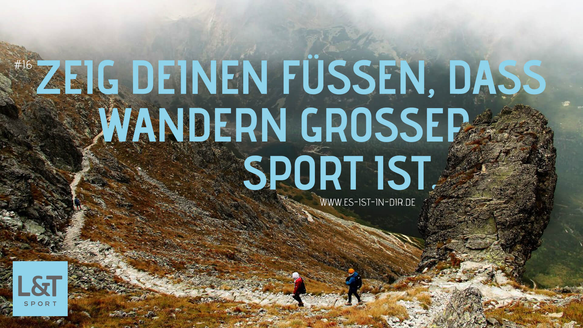 170728_LUT_Imagemotive_16