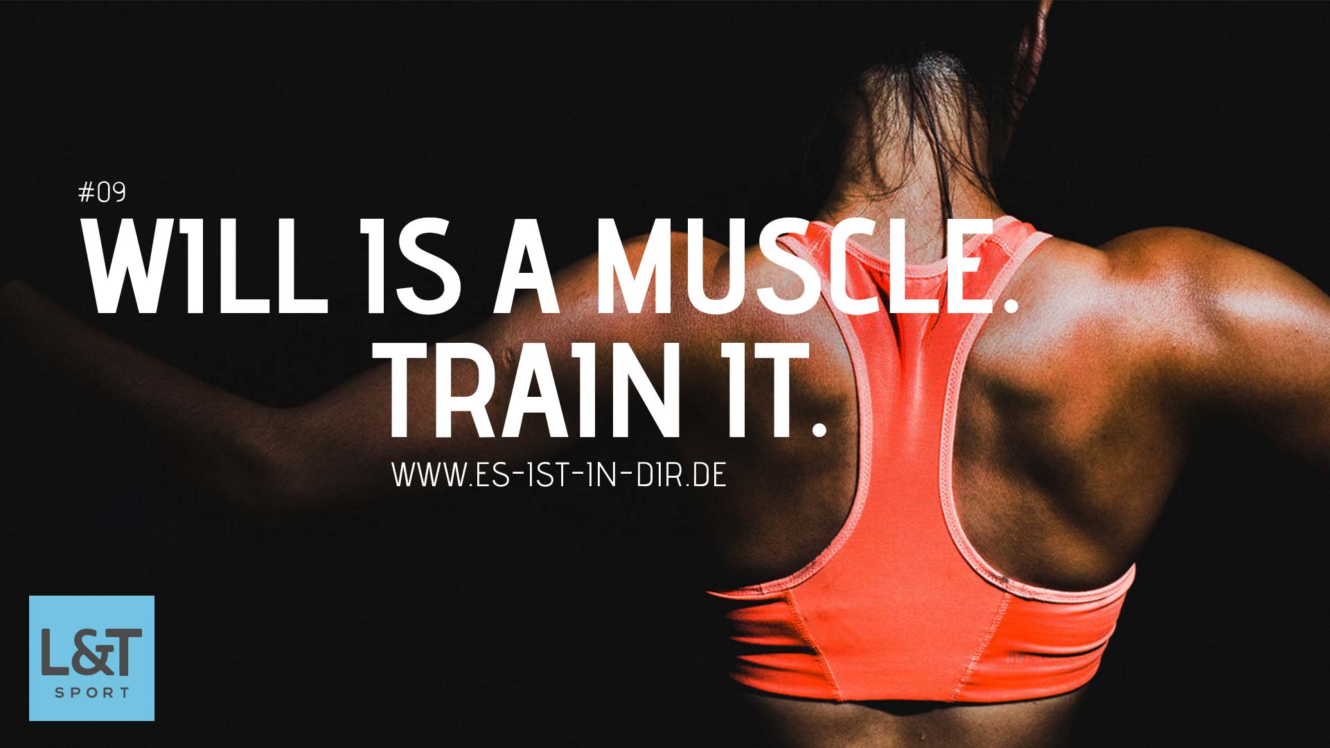 170728_LUT_Imagemotive_9